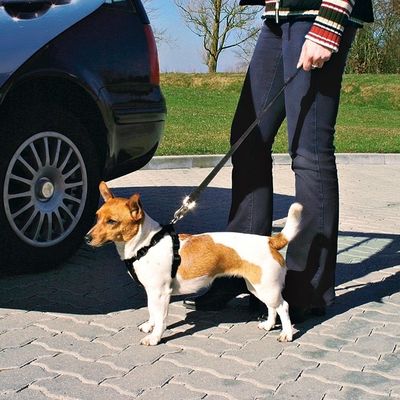 Trixie Dog Safety Belt and Harness Combo Small 30-60cm