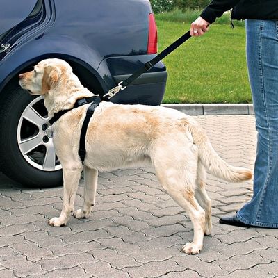 Trixie Dog Safety Belt and Harness Combo Small 30-60cm
