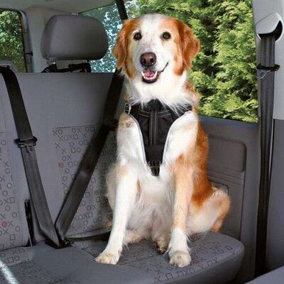 Trixie Dog Safety Belt and Harness Set Black Medium 50-65cm