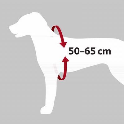 Trixie Dog Safety Belt and Harness Set Black Medium 50-65cm