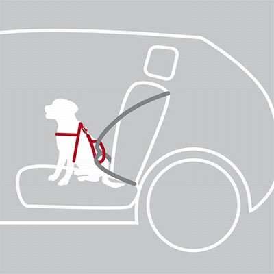 Trixie Dog Safety Belt and Harness Set Black Medium 50-65cm