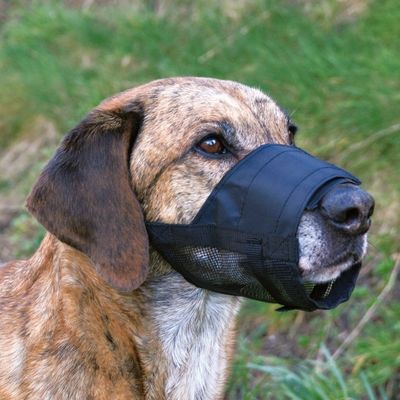 Trixie Mesh Dog Muzzle Adjustable Comfort Fit S-M 14-20cm