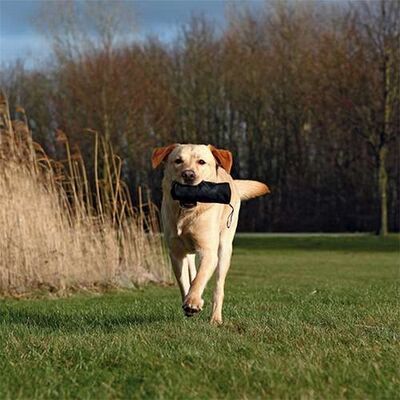Trixie Dog Scent Training Toy for Positive Reinforcement 6x18 cm