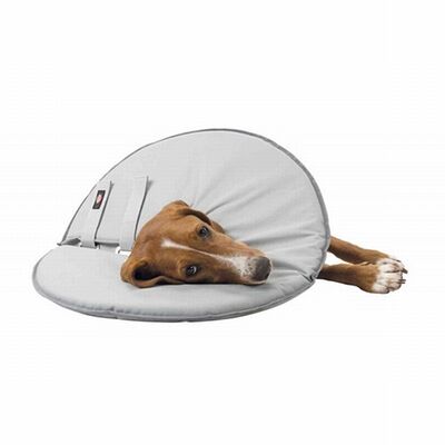 Trixie Inflatable Protective Dog and Cat Collar XXS-XS 18-21cm