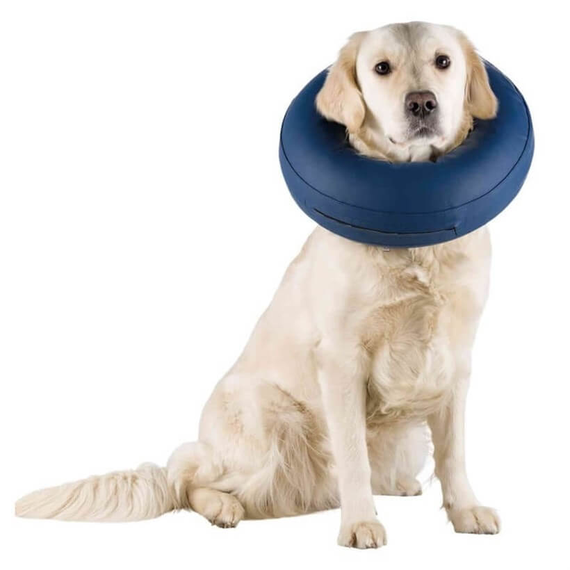 Trixie Protective Inflatable Dog Collar for Recovery M-L