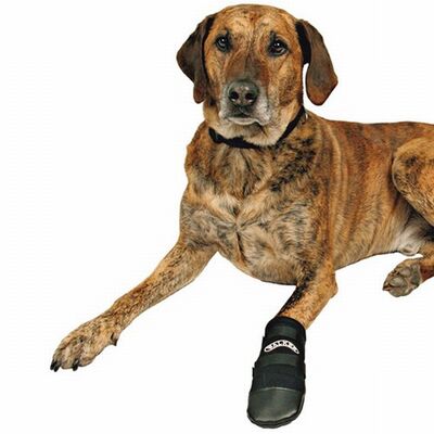 Trixie Neoprene Dog Boots Protective Paw Wear 2 Pack XXXL