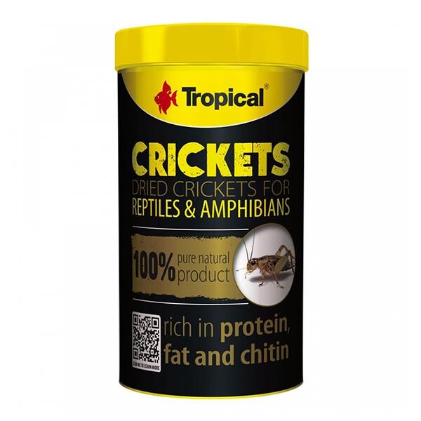 Tropical Crickets Dried Acheta Domesticus High Protein 25g