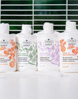 Otaci Botanics Pumpkin & Keratin Strengthening Conditioner 375ml