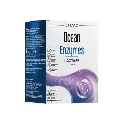 Ocean Enzymes Lactase Damla 20 Ml - Lactase Enzyme Supplement Drops for Lactose Intolerance Relief - image 3