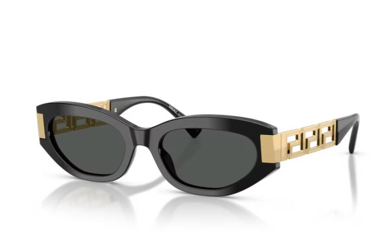Versace 0VE4501 Black Square Sunglasses with Dark Grey Lenses 54mm