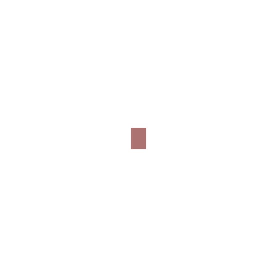 Shiseido Smoothing Lip Pencil BR607 Coffee Bean 1.2g