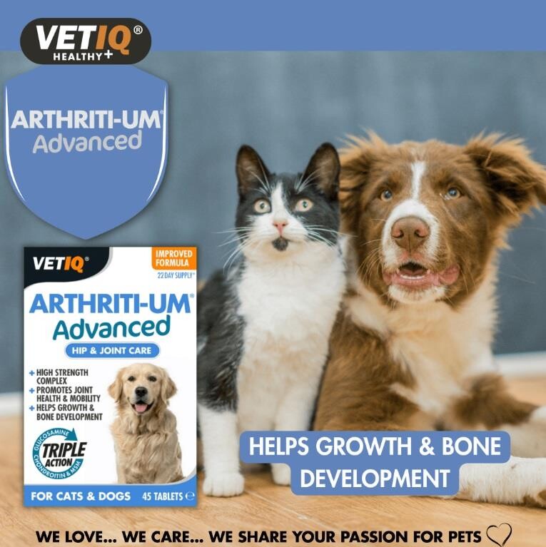 Vet IQ Arthriti-UM Advanced Joint Support for Cats & Dogs 45 Tablets