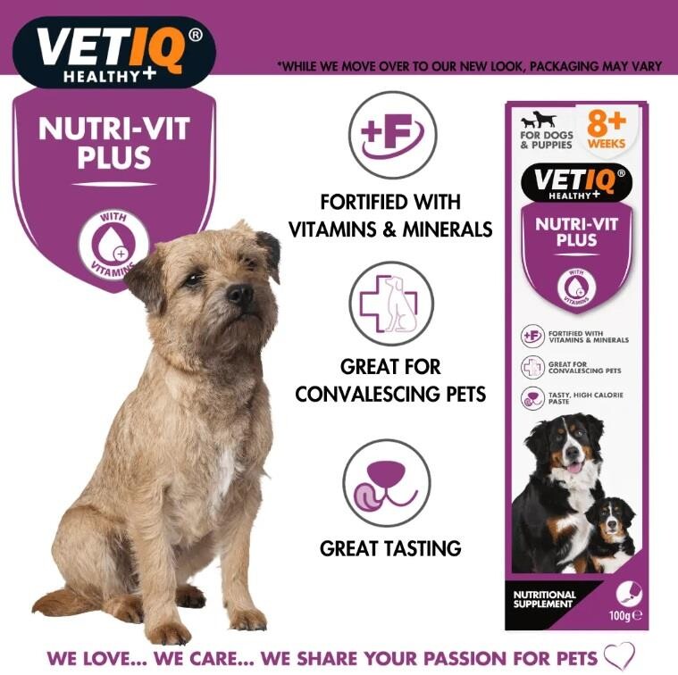 Vet IQ Nutri-Vit Plus High-Calorie Dog Vitamin Paste 100g