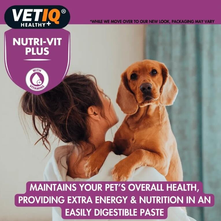 Vet IQ Nutri-Vit Plus High-Calorie Dog Vitamin Paste 100g