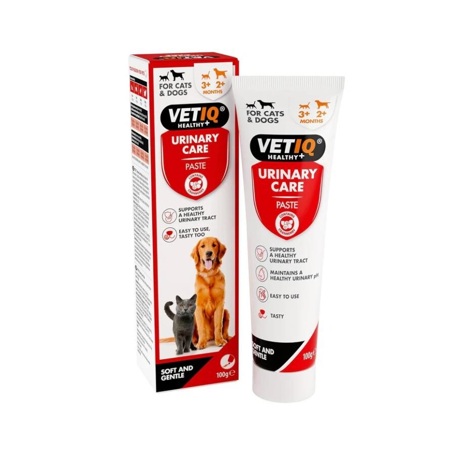 Vet IQ Urinary Tract Care Paste for Cats & Dogs 100g