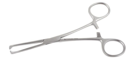 Kruuse Allis Forceps Stainless Steel Veterinary Tool 16 cm