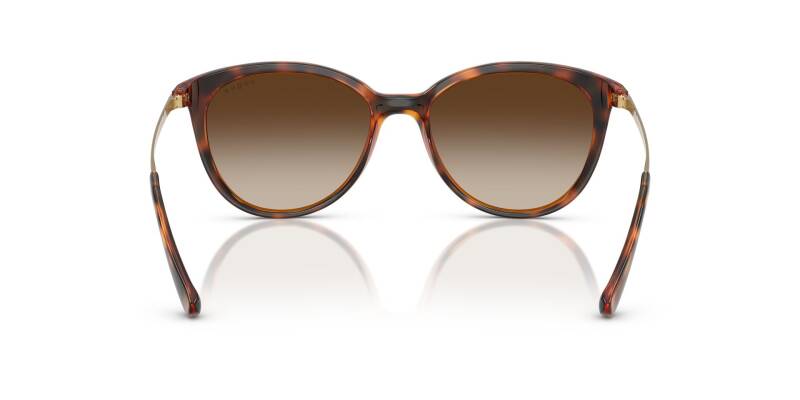 Vogue Women's Sunglasses Tortoise Frame Brown Lenses 53mm