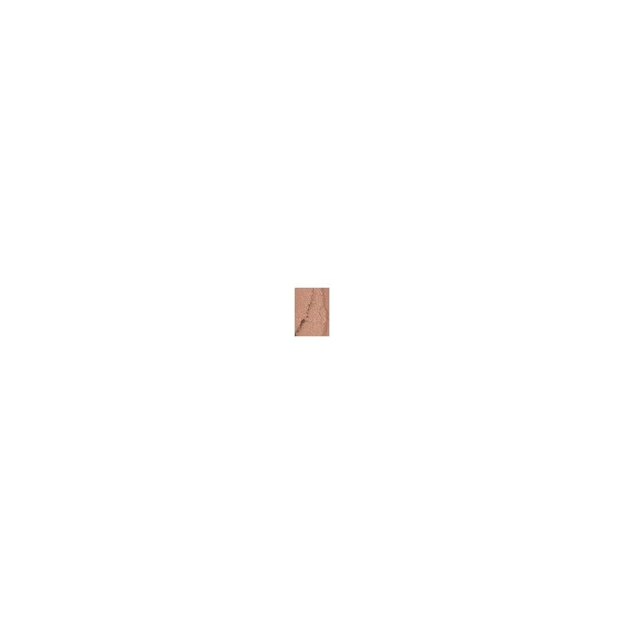 Estee Lauder Pure Color Eye Shadow Shimmer Hot Cinnamon 2.1g
