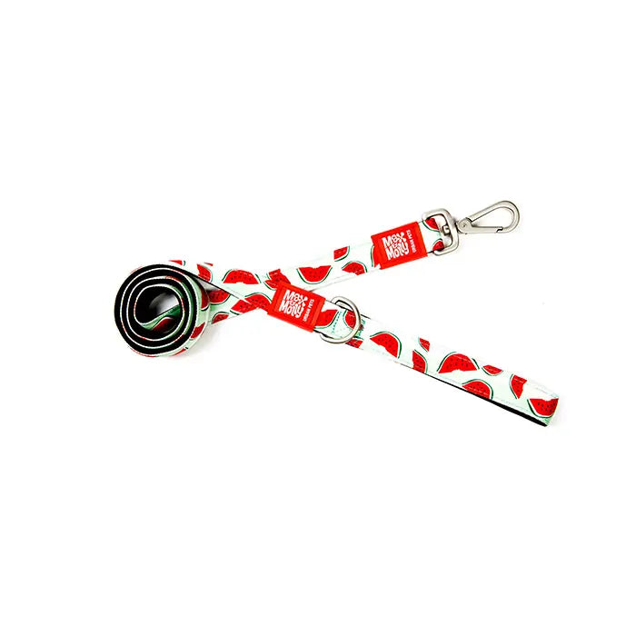 Max & Molly Watermelon Dog Leash Durable Padded Handle Large