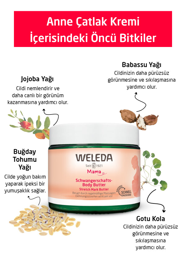 Weleda Mother Care Set - Nourishing Stretch Mark and Nipple Care