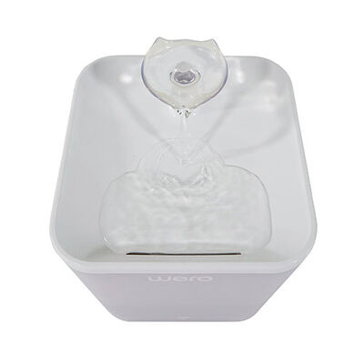 Wero Smart Pet Water Fountain with WiFi and UV Sterilization 2.2L