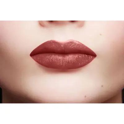 L'Oréal Paris Color Riche Lipstick - 107 Seine Sunset, Moisturizing Long-Lasting Lip Color - view 3