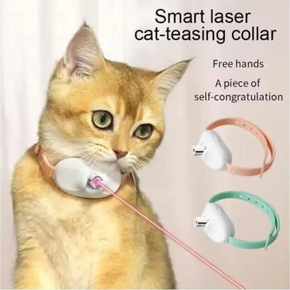 Zampa Rechargeable Laser Cat Collar for Active Play 10 cm